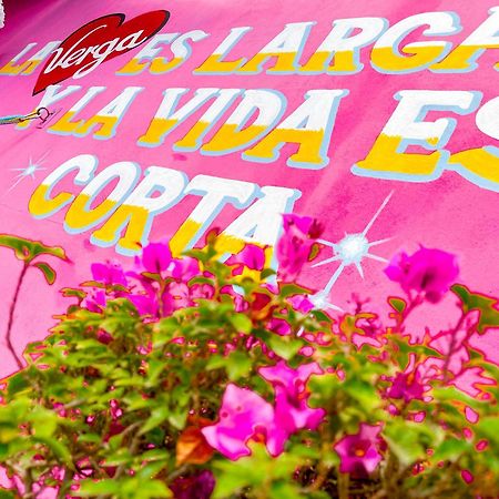 Habitacionez Hvuz Oaxaca Bagian luar foto