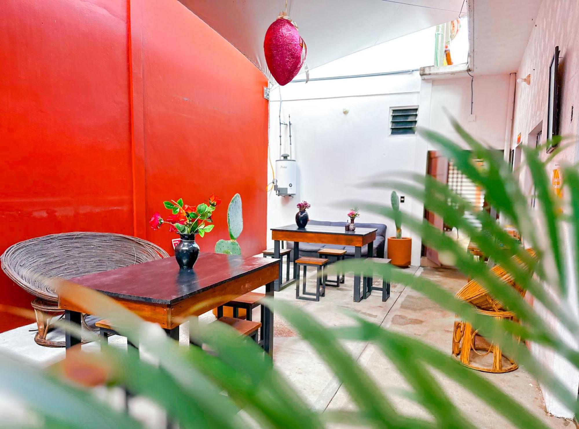Habitacionez Hvuz Oaxaca Bagian luar foto