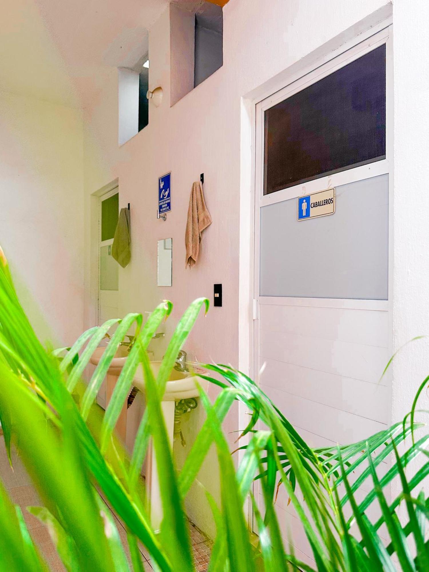 Habitacionez Hvuz Oaxaca Bagian luar foto