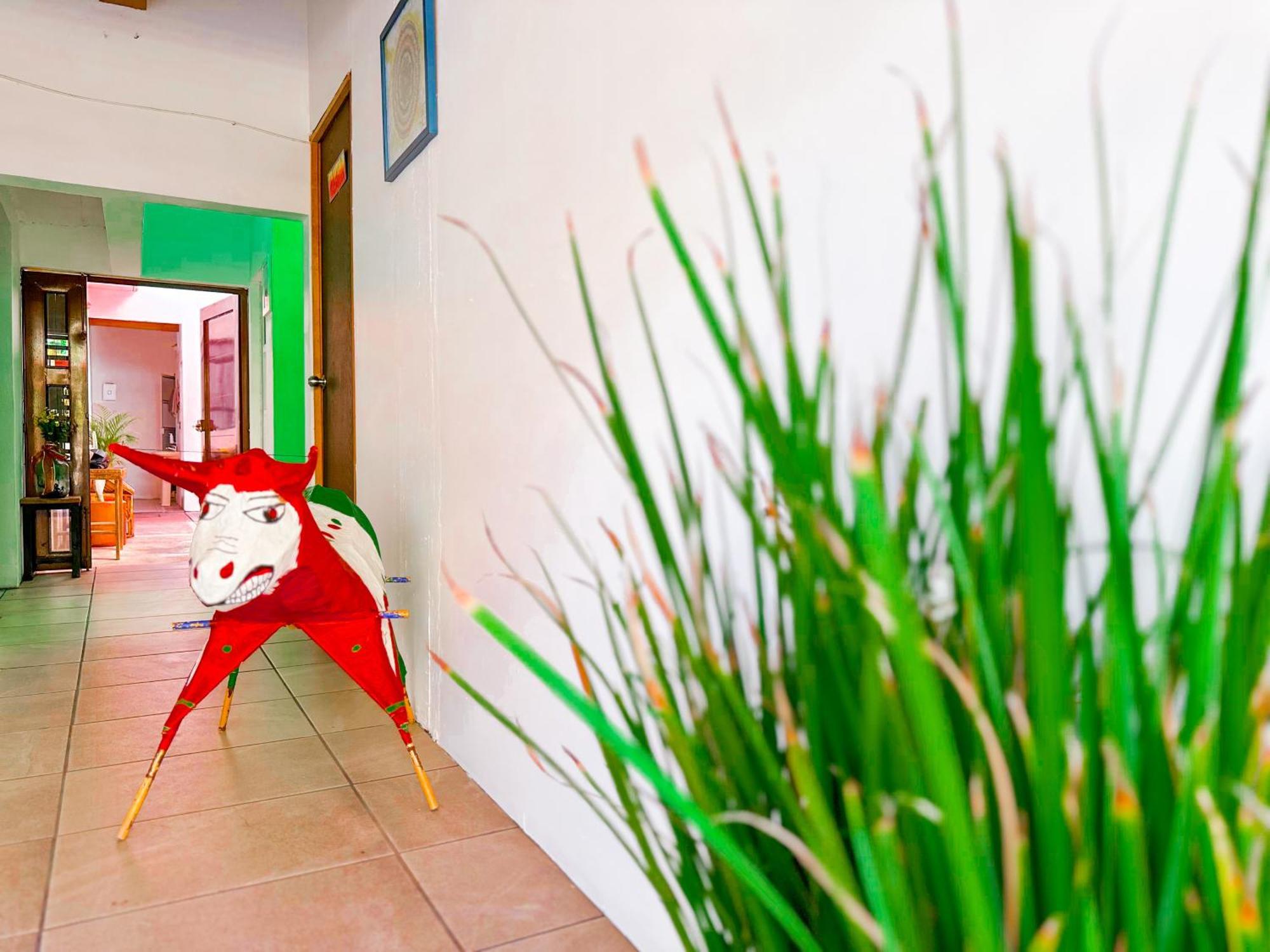 Habitacionez Hvuz Oaxaca Bagian luar foto