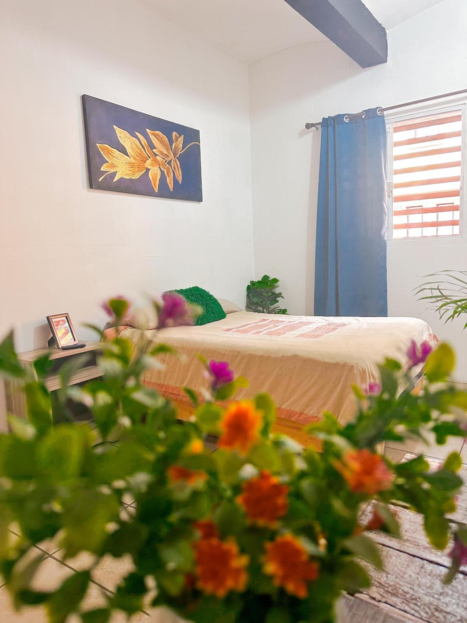 Habitacionez Hvuz Oaxaca Bagian luar foto