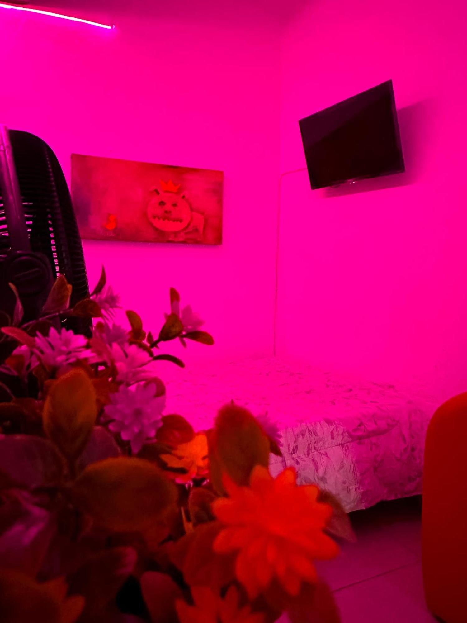 Habitacionez Hvuz Oaxaca Bagian luar foto